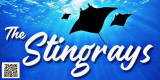 The Stingrays band photo